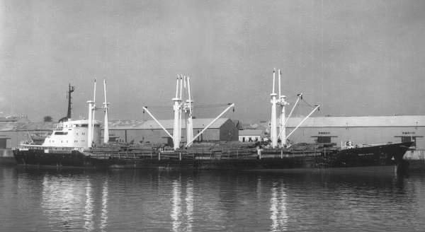 Nuria Alsina - Colección de E. de Cusa Nuria Alsina - Colección de E. de Cusa